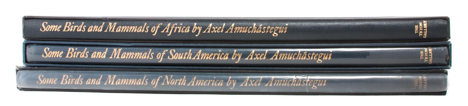 Three Reference Books regarding Axel Amuchastegui