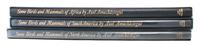 Three Reference Books regarding Axel Amuchastegui
