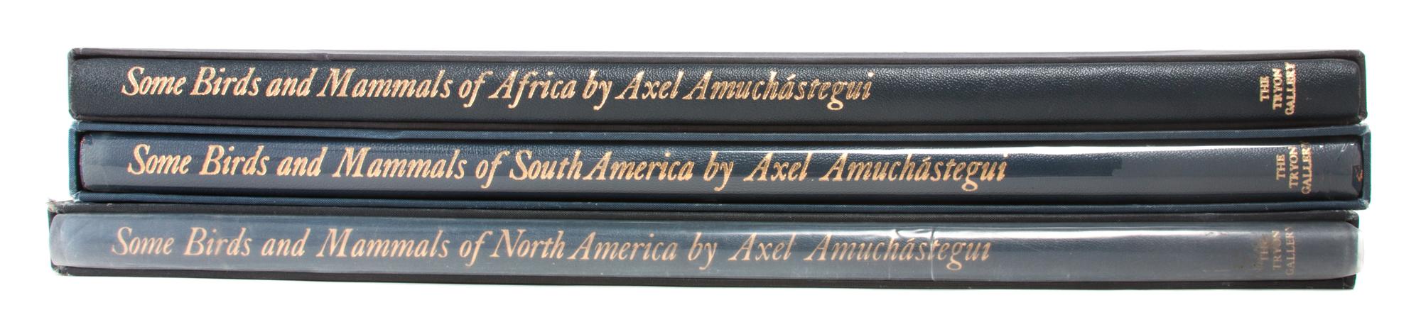 Three Reference Books regarding Axel Amuchastegui
