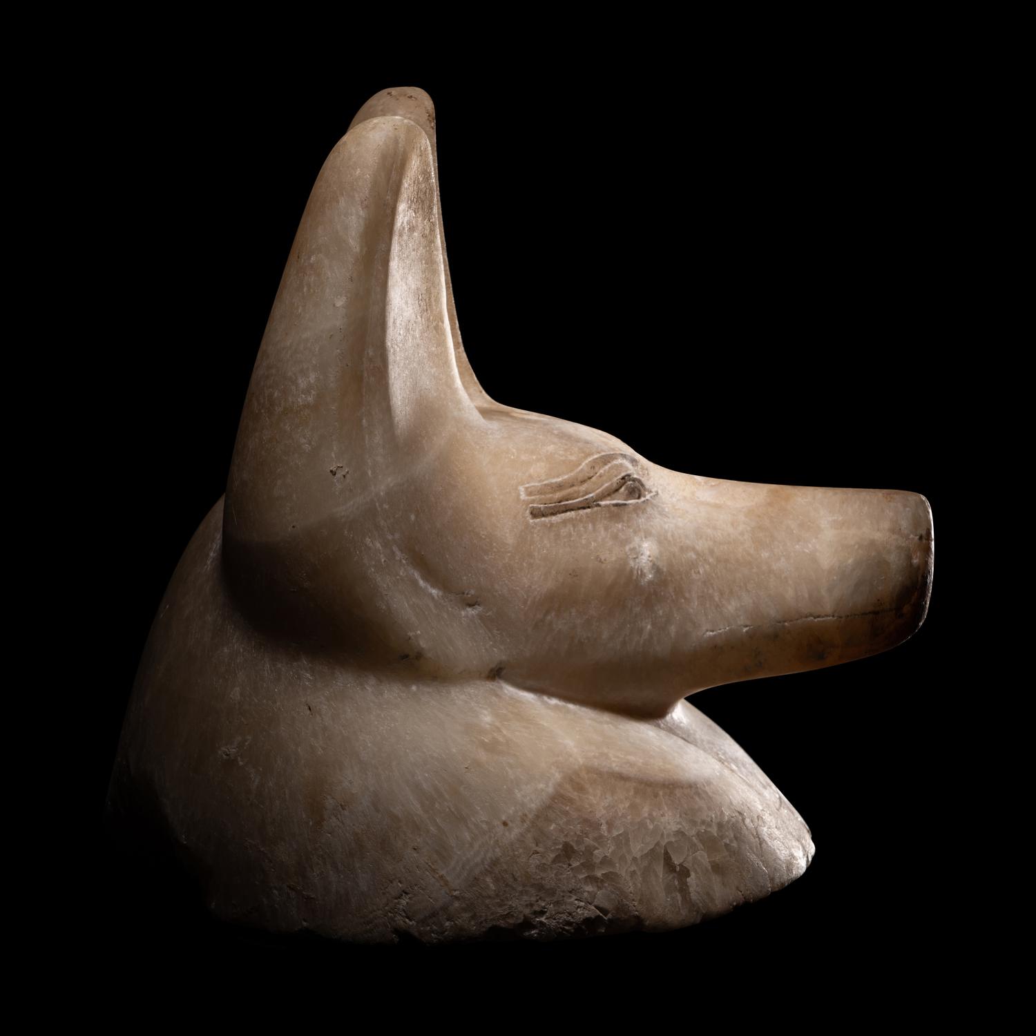 An Egyptian Alabaster Head of a Jackal