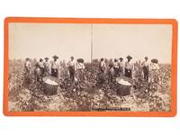 [EARLY PHOTOGRAPHY]. PALMER, J.A., and HAVENS, photographers. A group of 2 stereoviews of African American subjects, incl. Chimney Sweeps and Cotton Pickers . Ca 1870s.