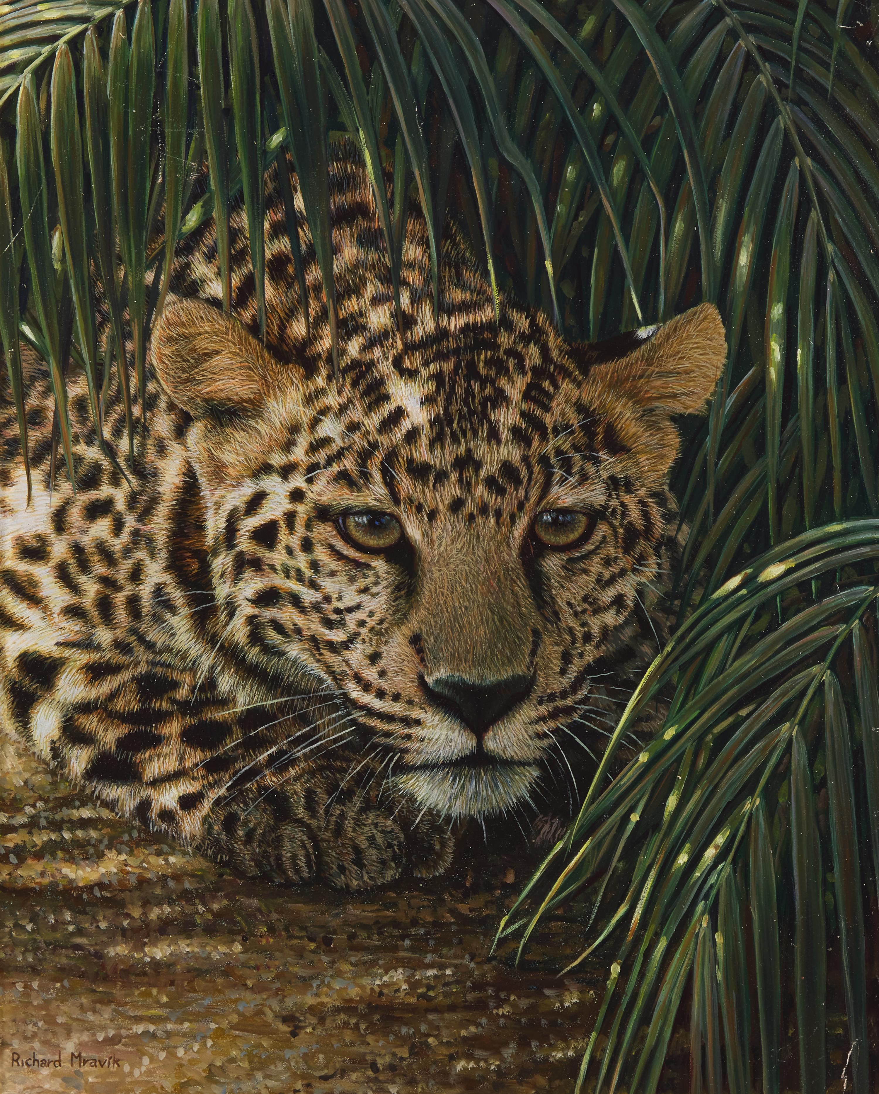 Richard Mravik (Canadian, b. 1973) — Crouching Leopard , 1999