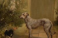 Irish Wolfhound and Pekingese