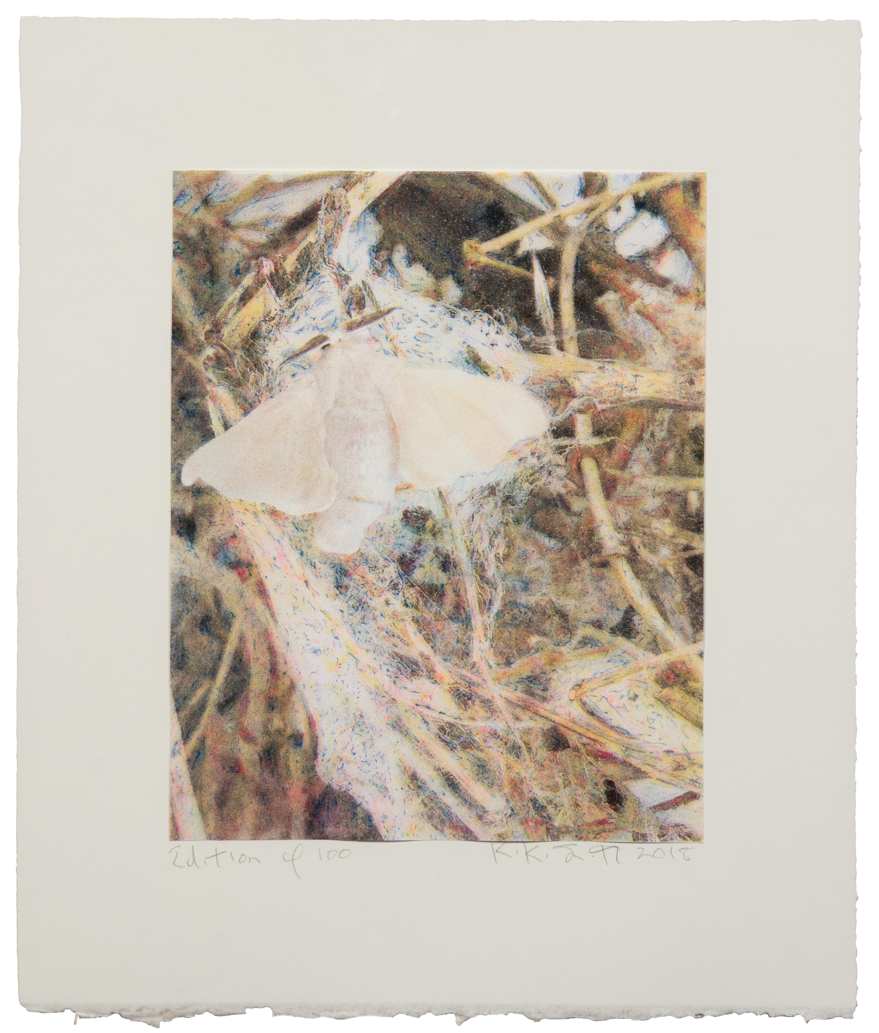 Silk Moth