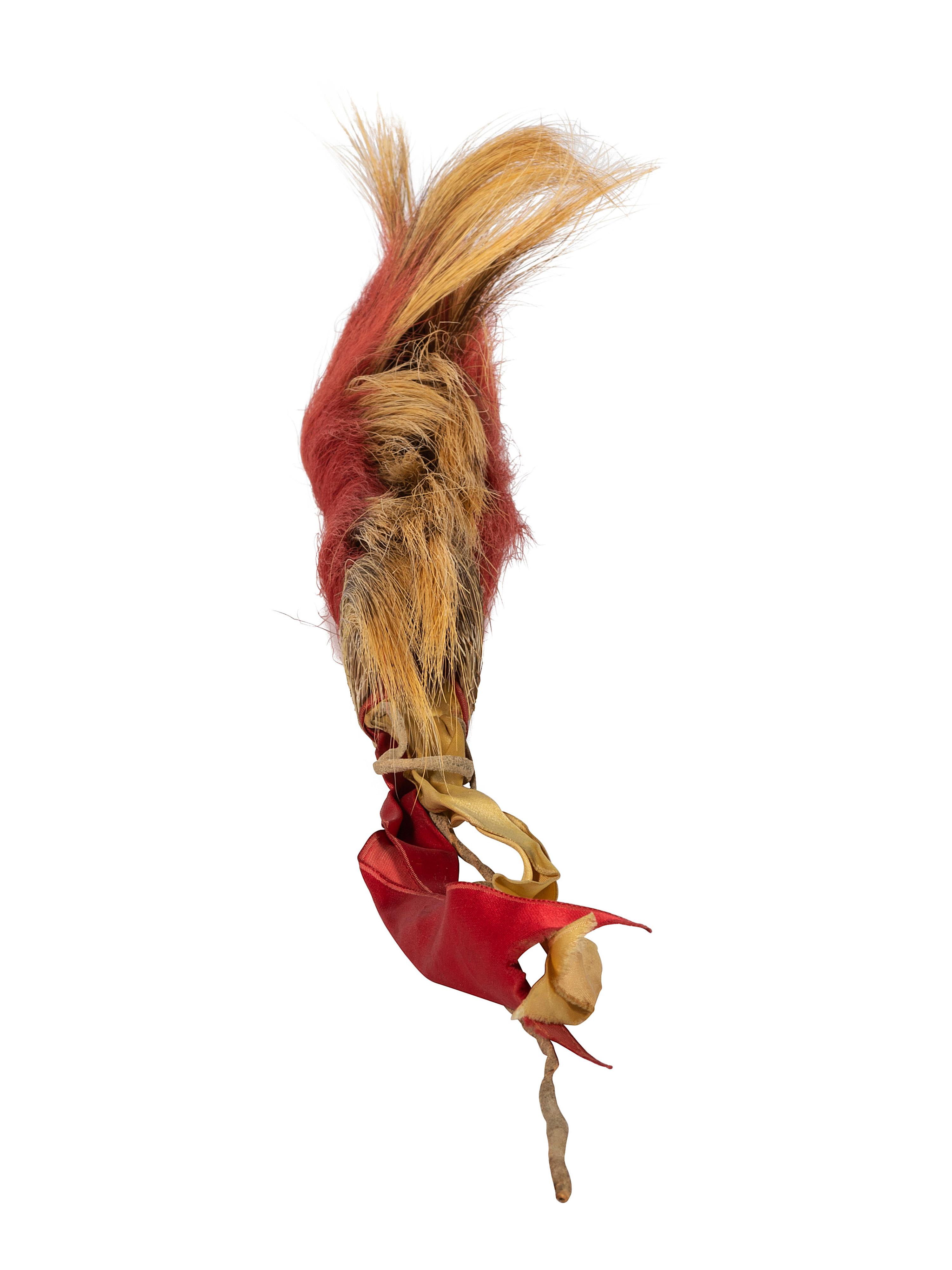 Plains Hair Roach