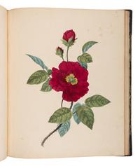 [NATURAL HISTORY]. HENDERSON, Peter Charles (fl.1791-1829). The Seasons, or Flower-Garden: being a selection of the most beautiful flowers that blossom at the Four Seasons of the Year . London: R. Ackermann, 1806.