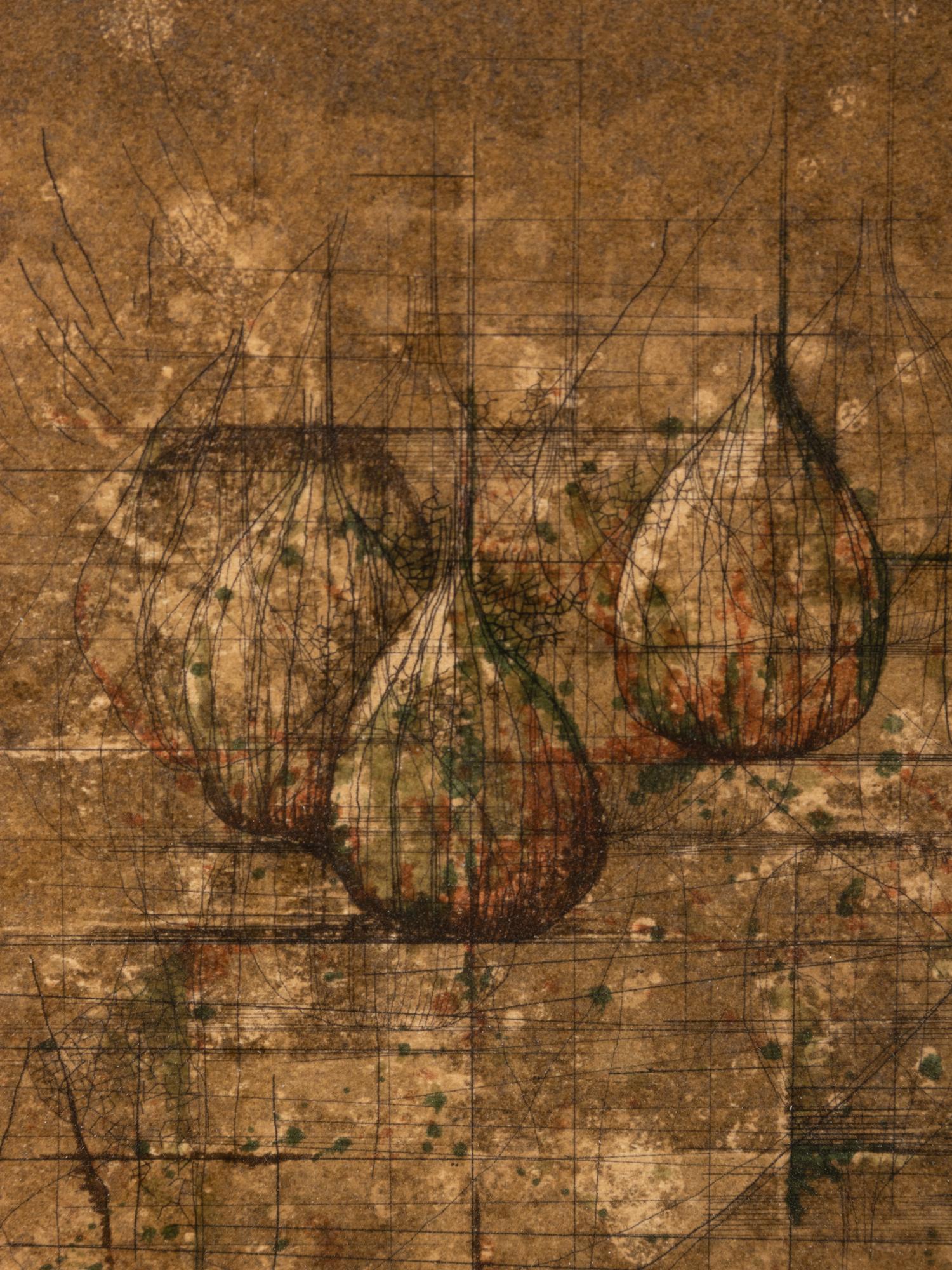 Untitled (Onions)