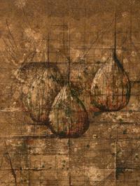 Untitled (Onions)