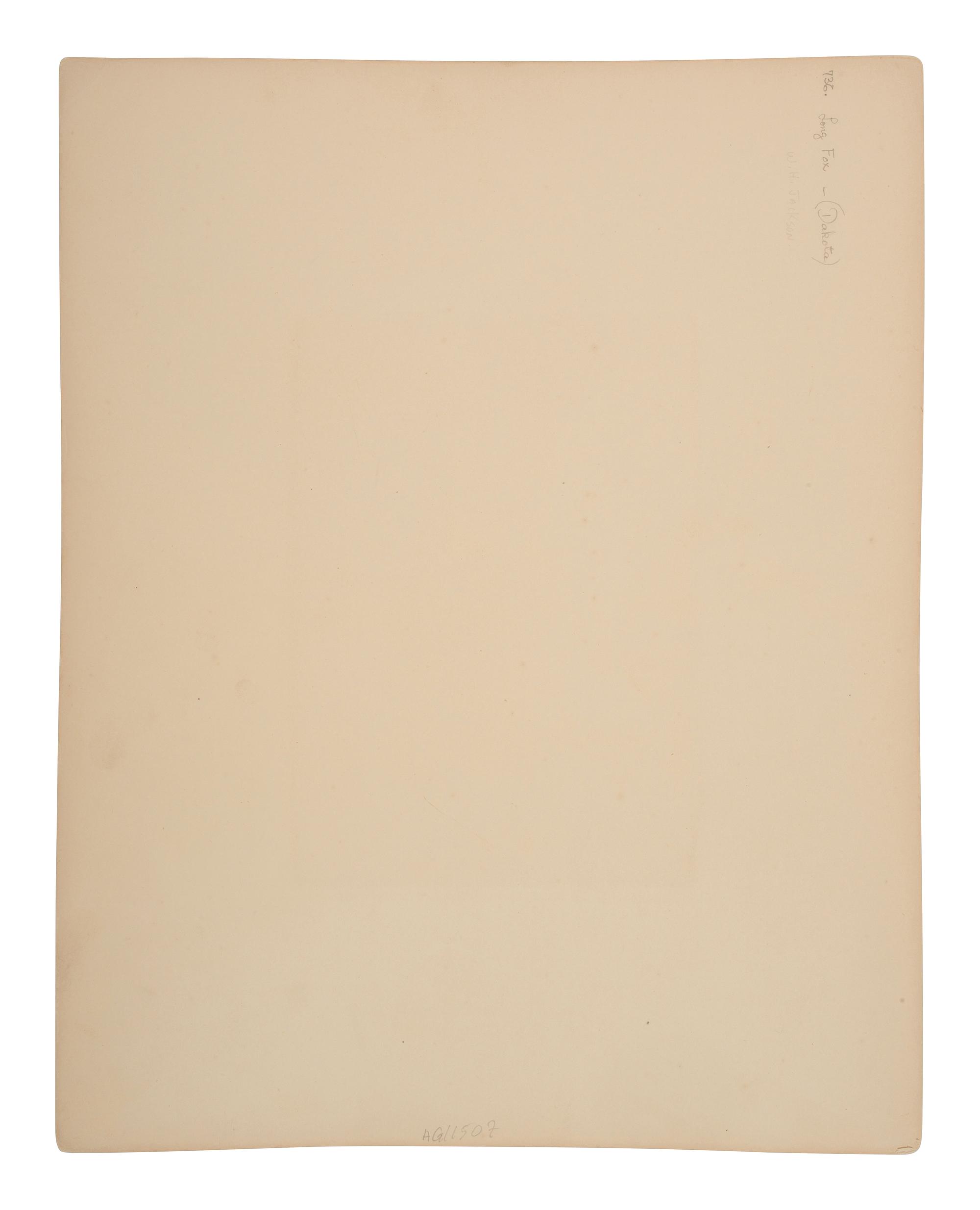[GARDNER, Alexander (1821-1882), photographer]. Albumen photograph of Long Fox, Dakota. [Washington, DC, 1872].