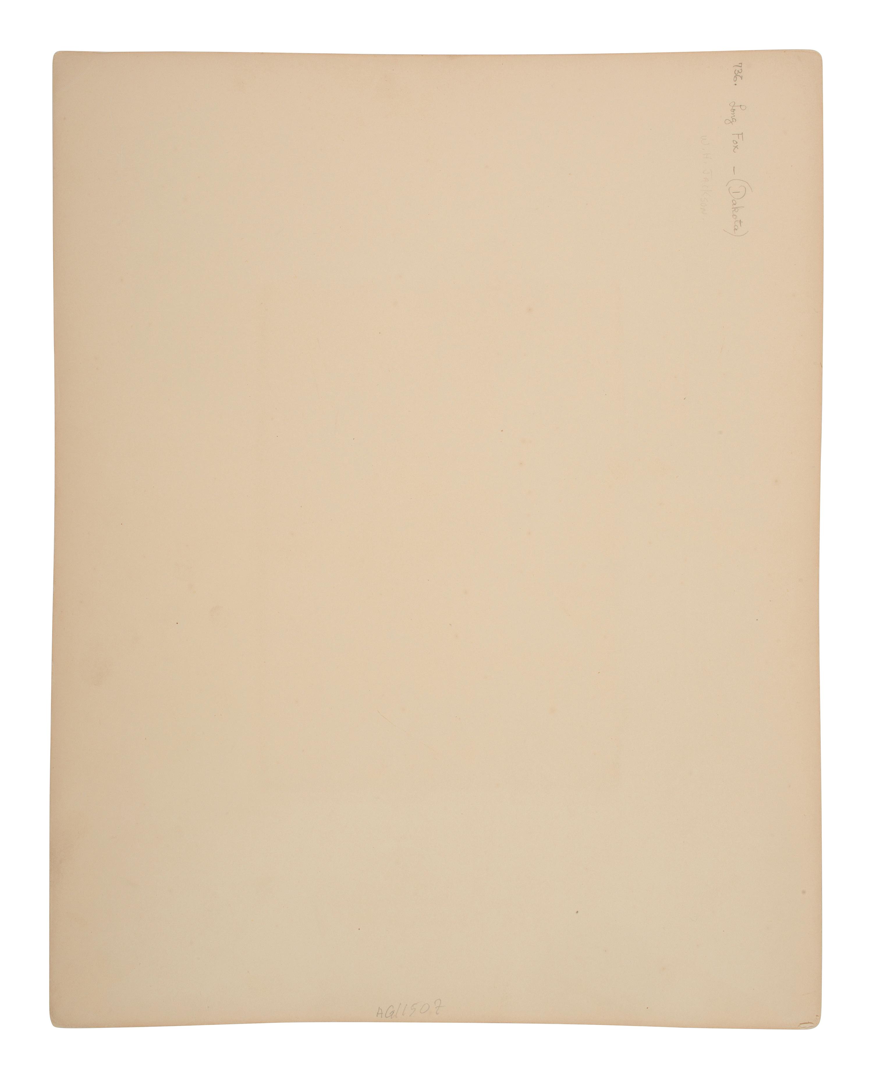[GARDNER, Alexander (1821-1882), photographer]. Albumen photograph of Long Fox, Dakota. [Washington, DC, 1872].
