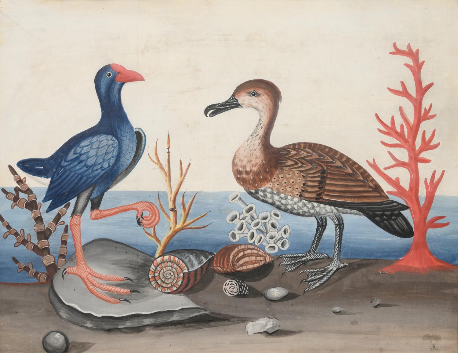 A Set of Six Irish George III Embossed Bird Pictures by Samuel Dixon