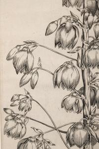 Pierre Vallet (French, 1884-1971)