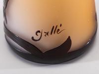 Perfume Bottle