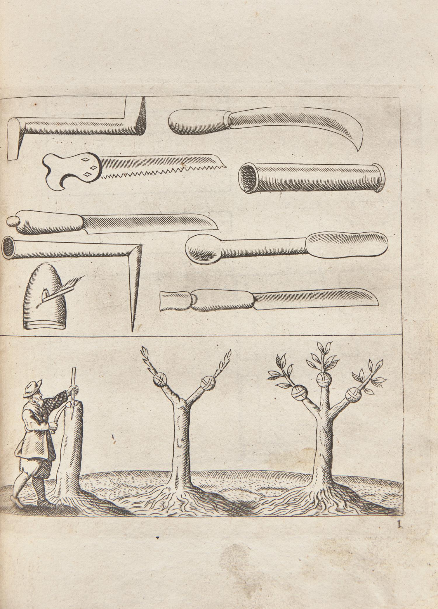 [Gardening] Meager, Leonard. The English Gardener: Or, a Sure guide to young Planters and Gardeners...