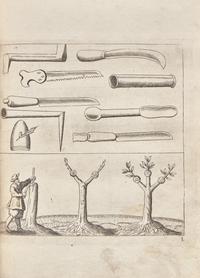 [Gardening] Meager, Leonard. The English Gardener: Or, a Sure guide to young Planters and Gardeners...