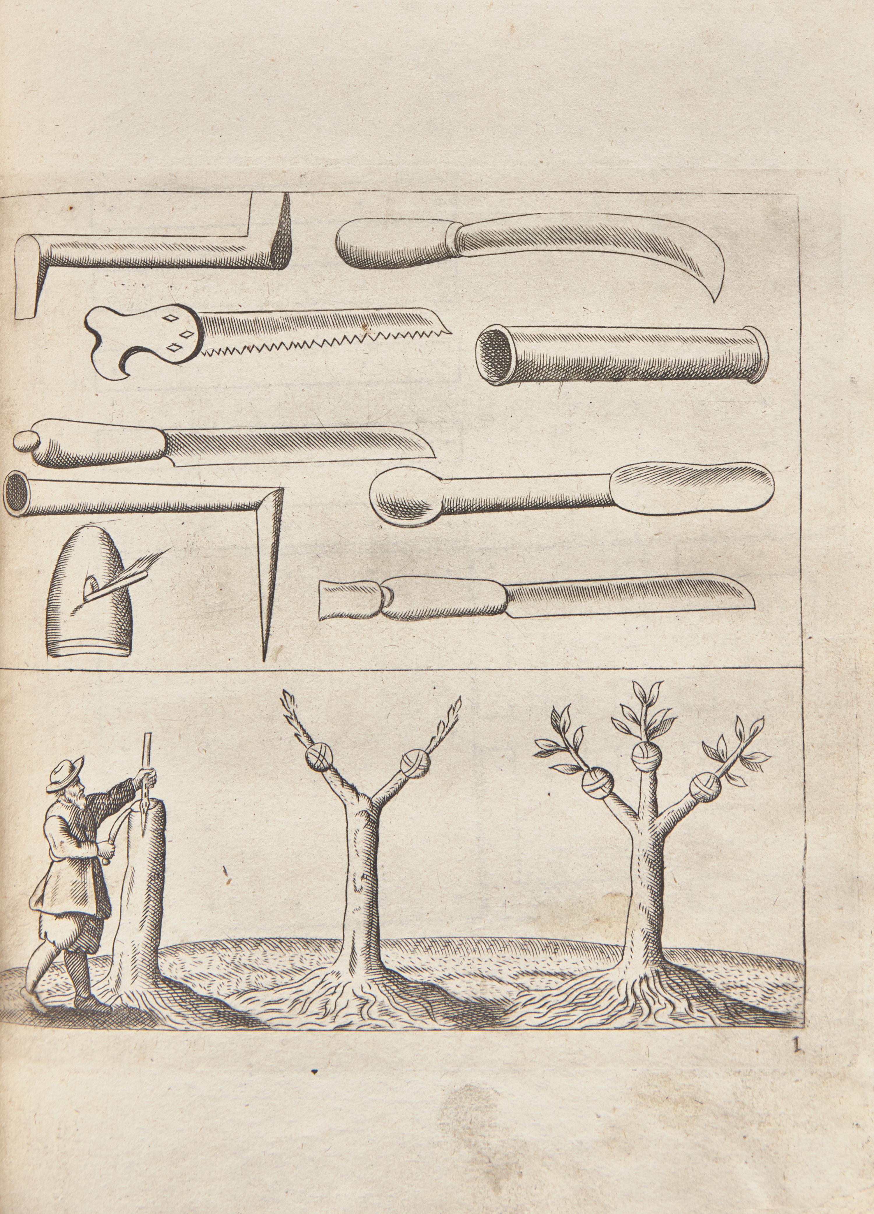 [Gardening] Meager, Leonard. The English Gardener: Or, a Sure guide to young Planters and Gardeners...