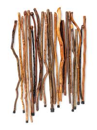 A Large Collection of Naturalistic Canes and Walking Sticks