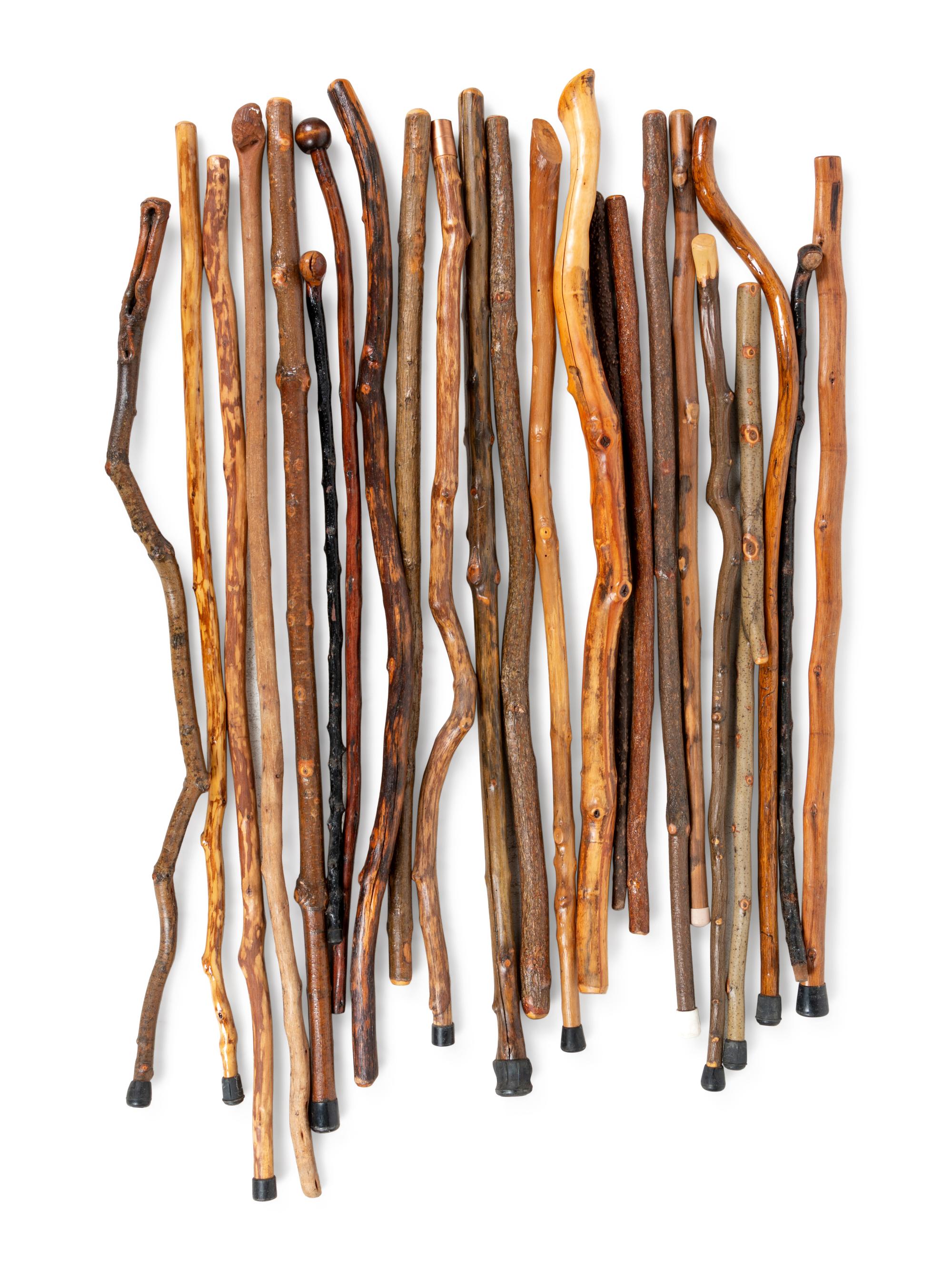 A Large Collection of Naturalistic Canes and Walking Sticks