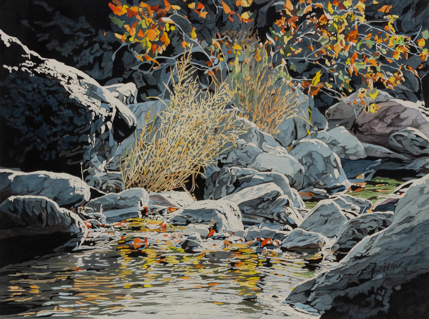 Hill Country Landscape