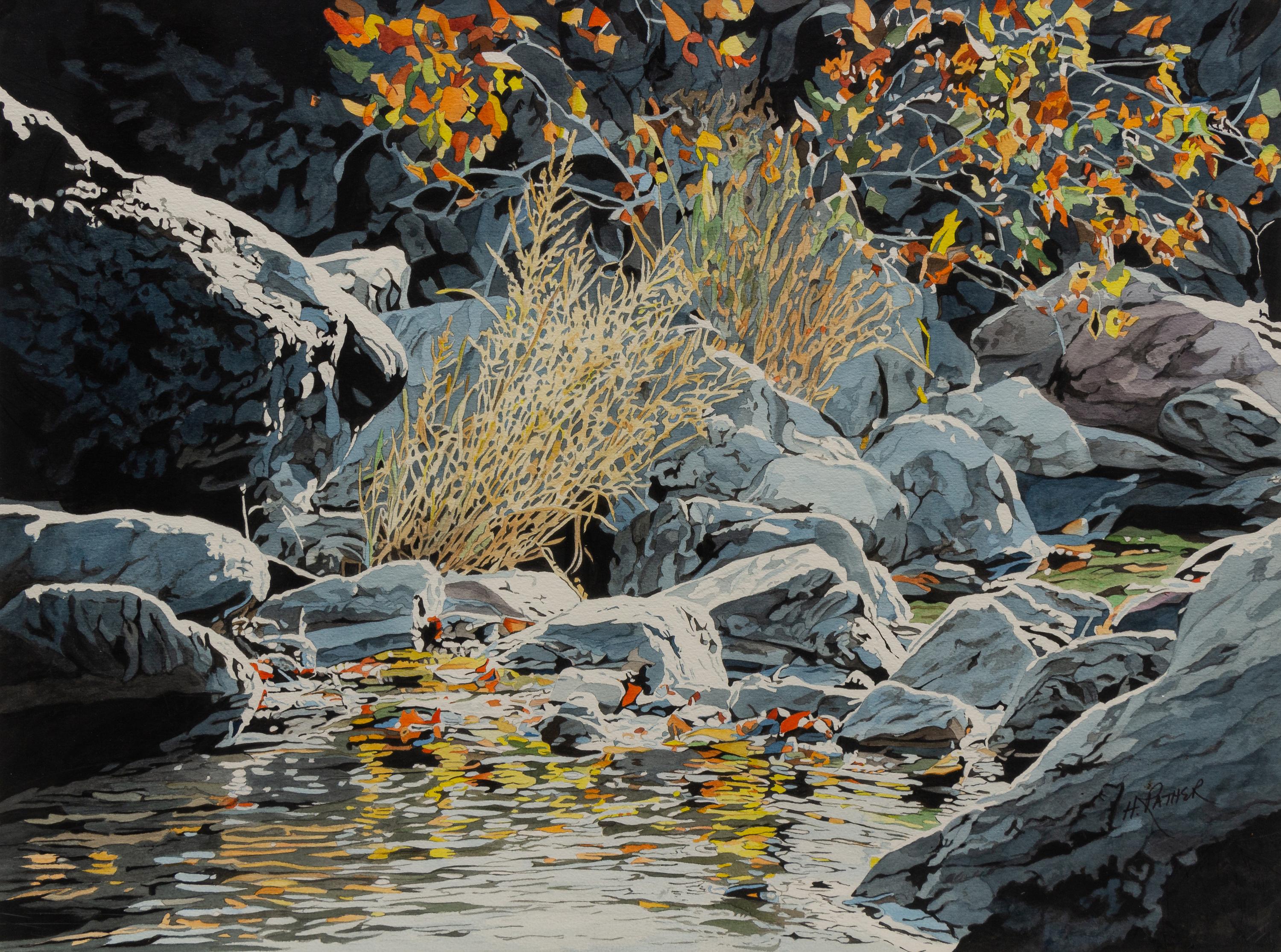 Hill Country Landscape