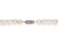 CULTURED PEARL NECKLACE