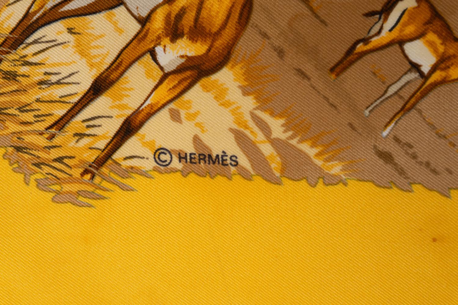 Two Hermès Scarves