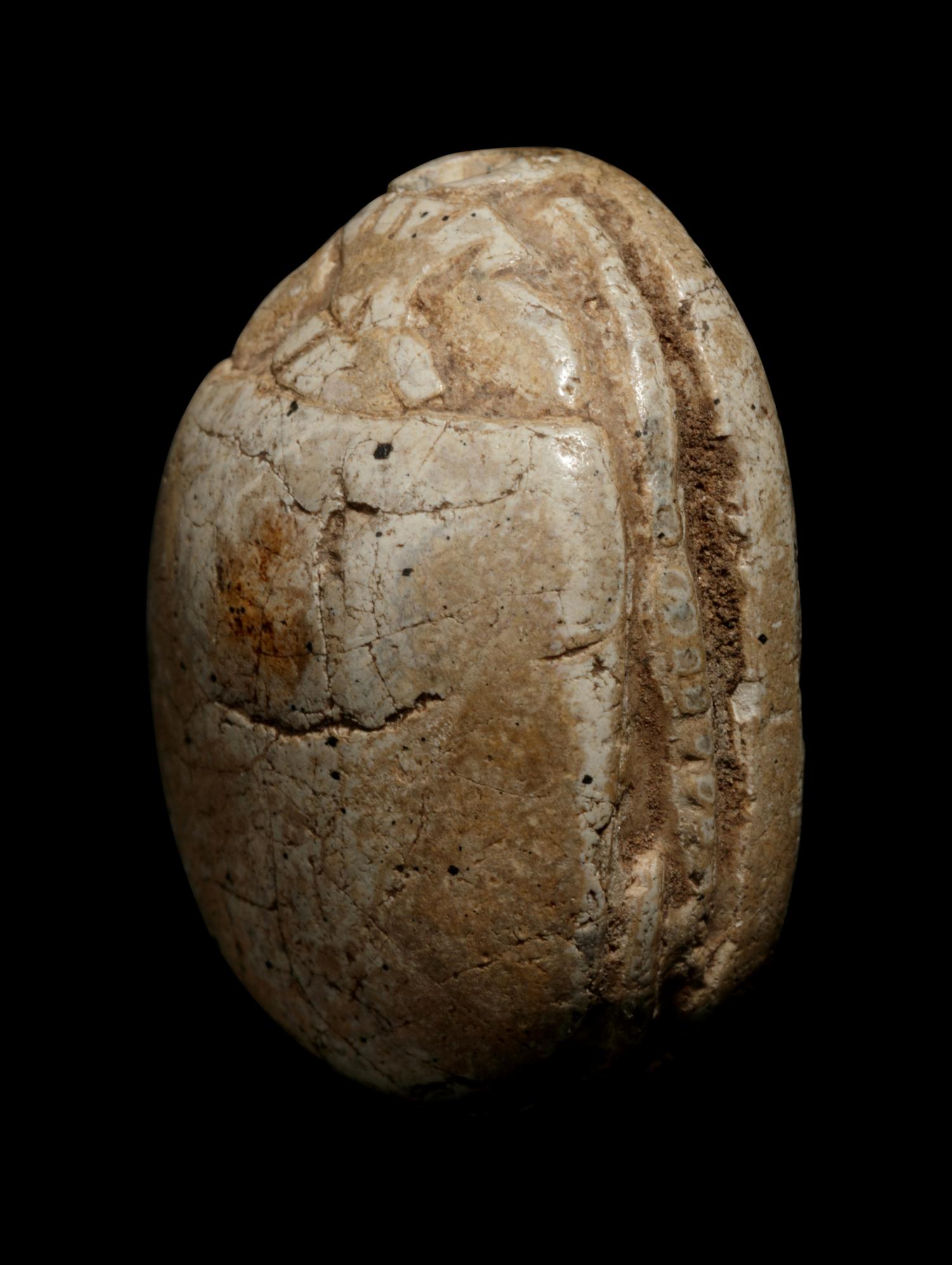 Three Egyptian Steatite and Faience Scarabs