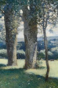 The Hurrying Year