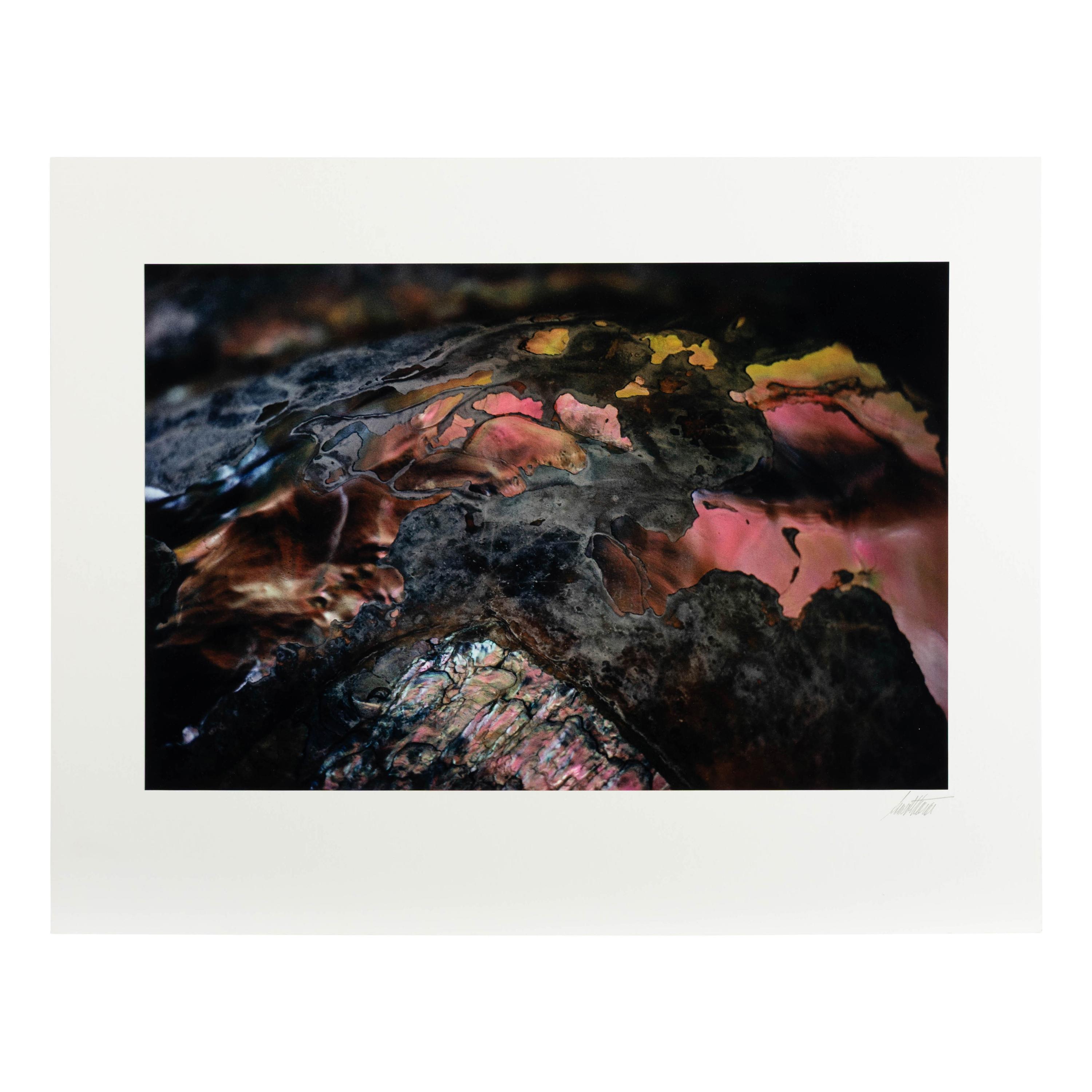 Ernst Haas (American/Austrian, 1921–1986) — The Creation (complete portfolio of ten with text pages and portfolio case), 1982