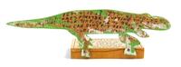 Crocodile