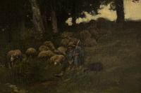 A Shepherd and His Flock