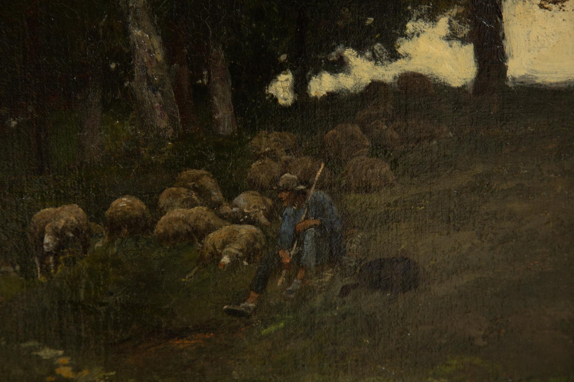 A Shepherd and His Flock