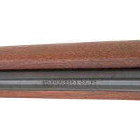 *Ruger 10/22 Carbine