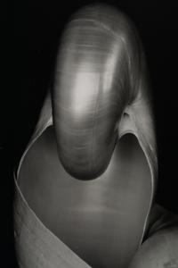 Shells, 1927