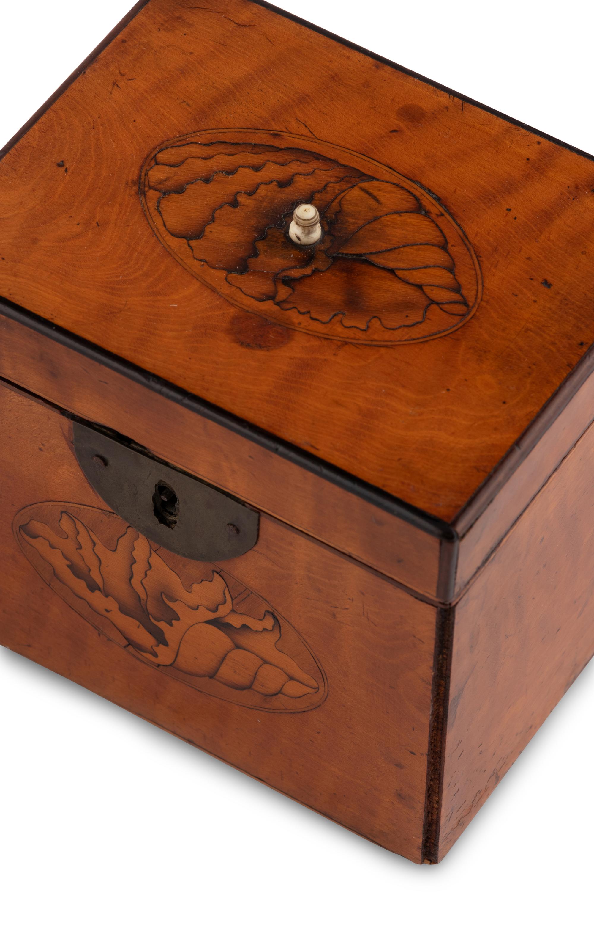 Two English Tea Caddies