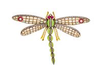 A Silver Topped Yellow Gold, Multigem and Enamel Dragonfly Brooch,