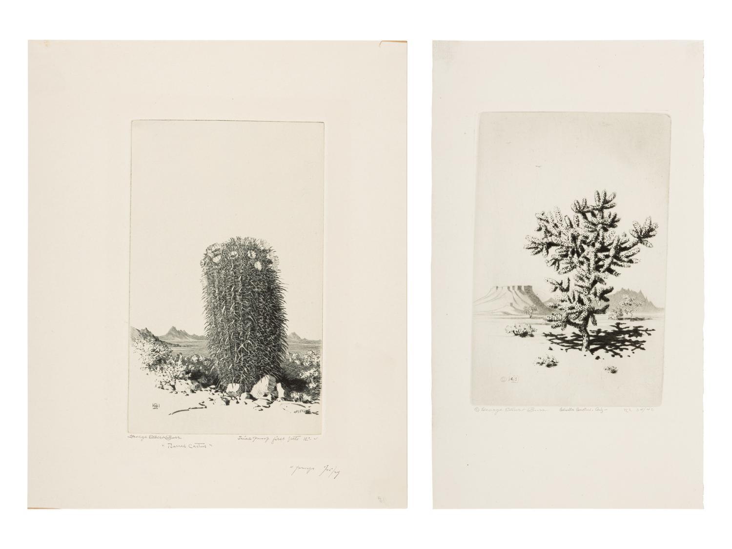 Two Works: Cholla Cactus, Arizona and Barrel Cactus