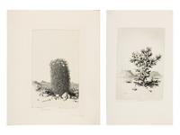 Two Works: Cholla Cactus, Arizona and Barrel Cactus