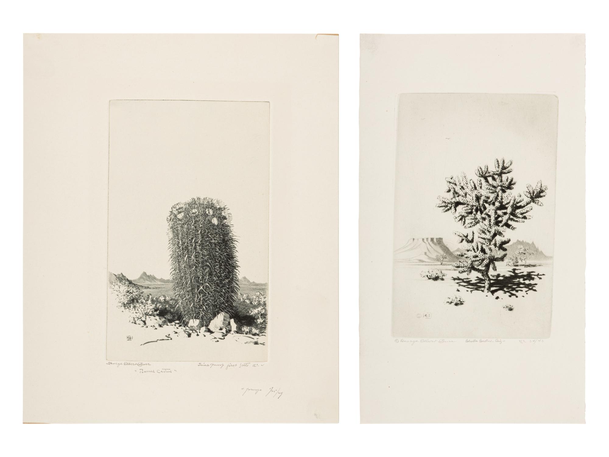 Two Works: Cholla Cactus, Arizona and Barrel Cactus
