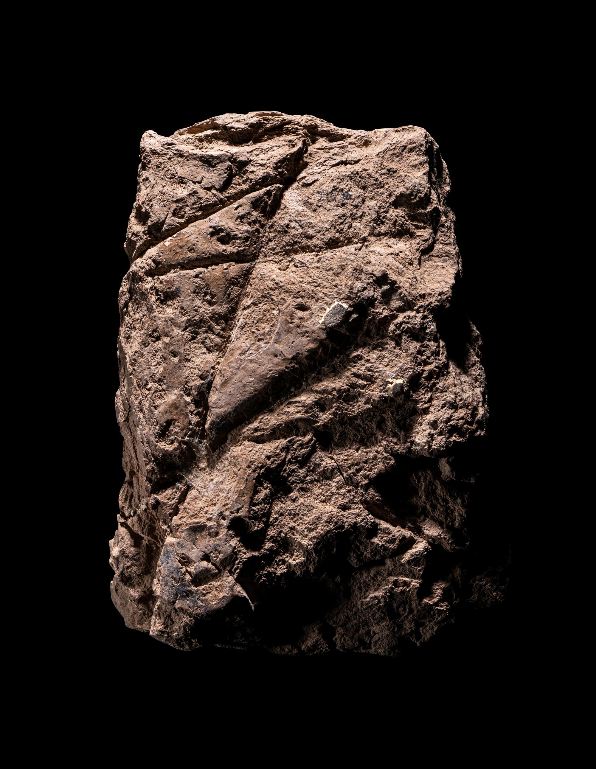 A Babylonian Clay Cuneiform Tablet