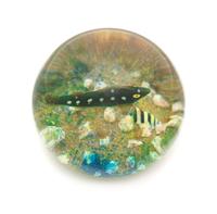 Paul Ysart , (Spanish, 1904-1991), a fish paperweight