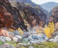 Wild Canyon