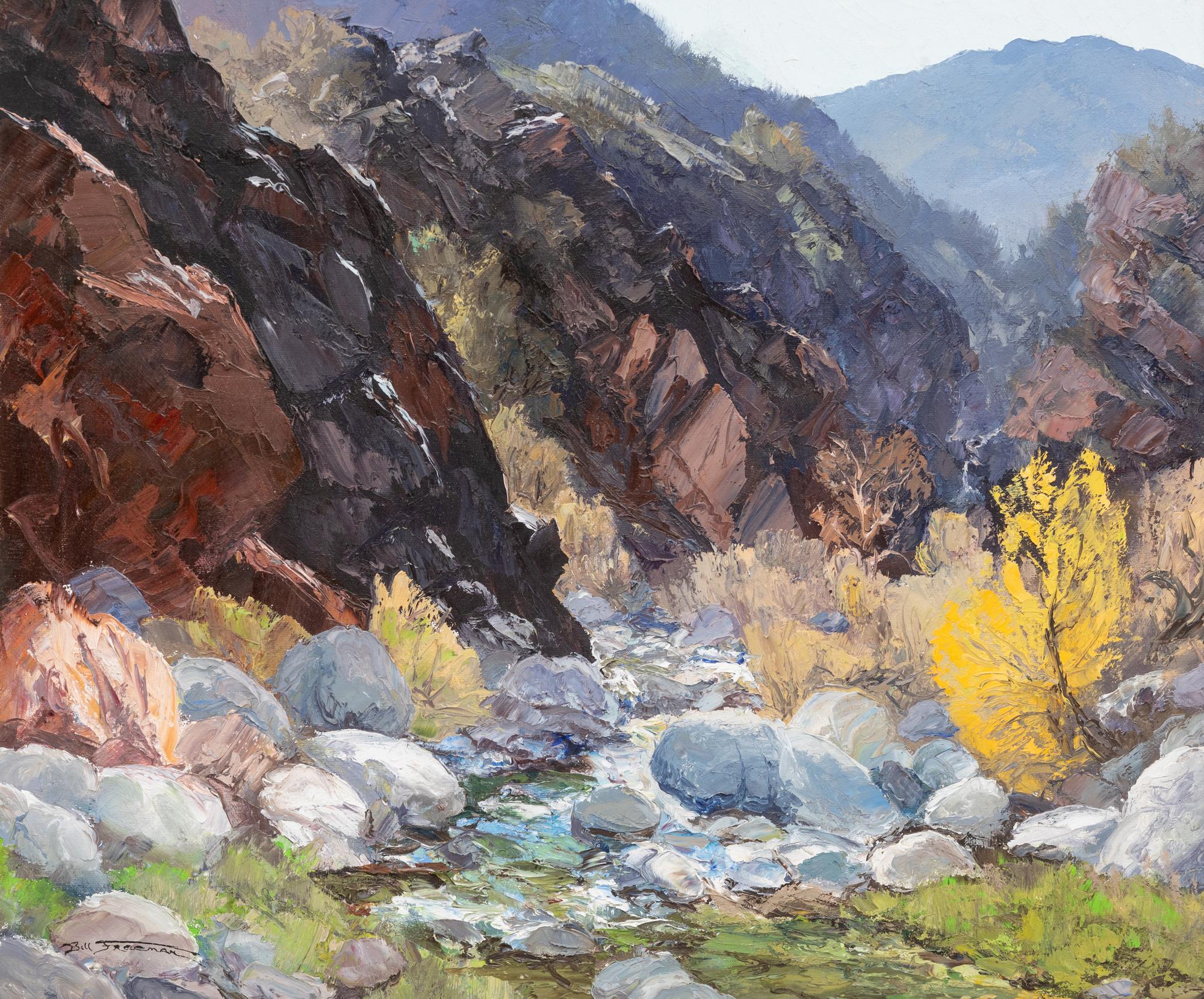 Wild Canyon