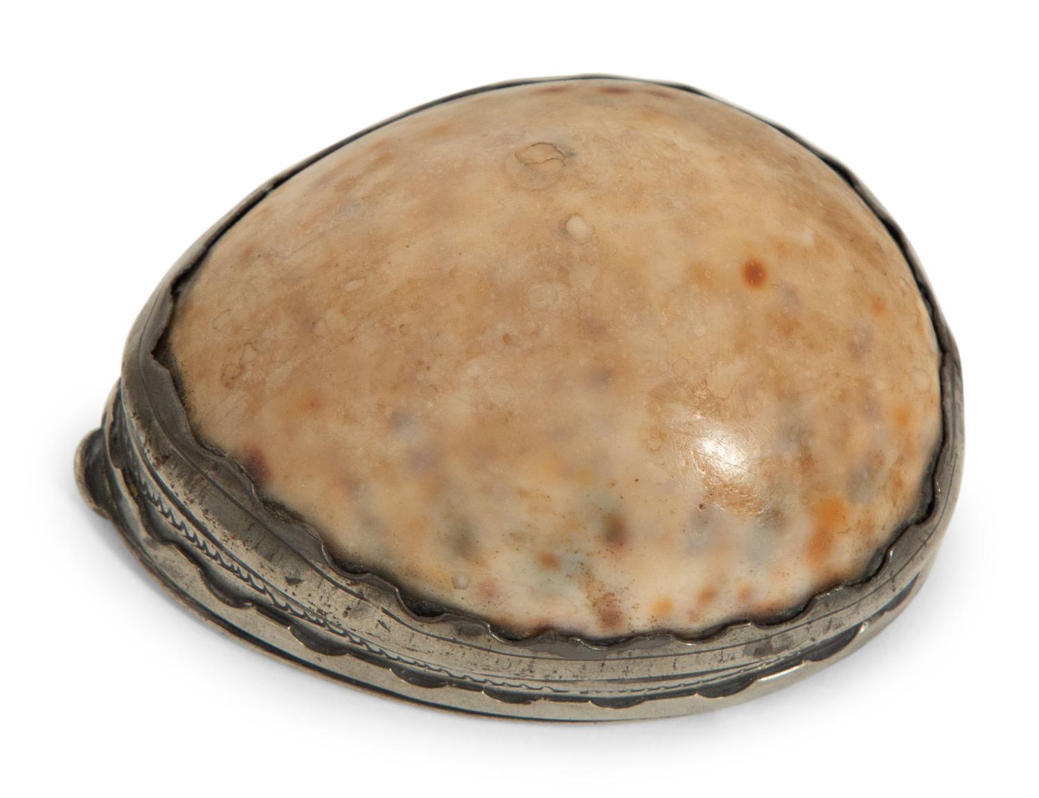 A Group of Seven Shell Mounted Items