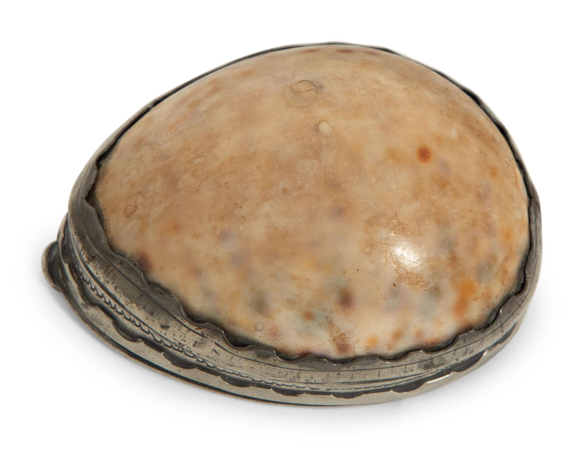 A Group of Seven Shell Mounted Items