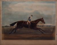 Six English Equestrian Prints
