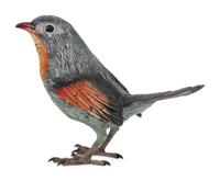 A Franz Xavier Bergman Cold-Painted Bronze Bird
