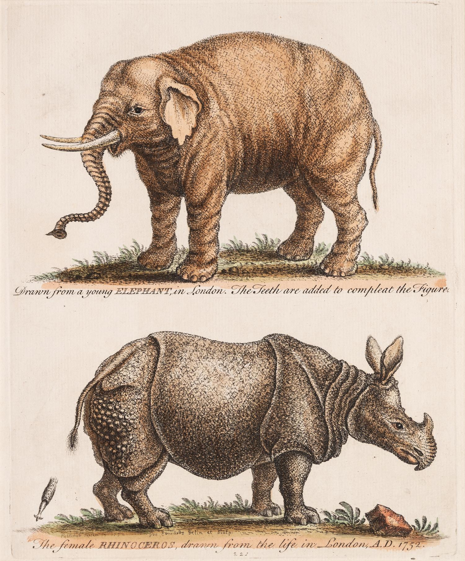 A group of three British prints