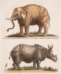 A group of three British prints