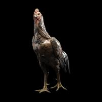 A Japanese Bronze Okimono of a Rooster, Meiji Period 日本明治時代 銅雕雄鷄